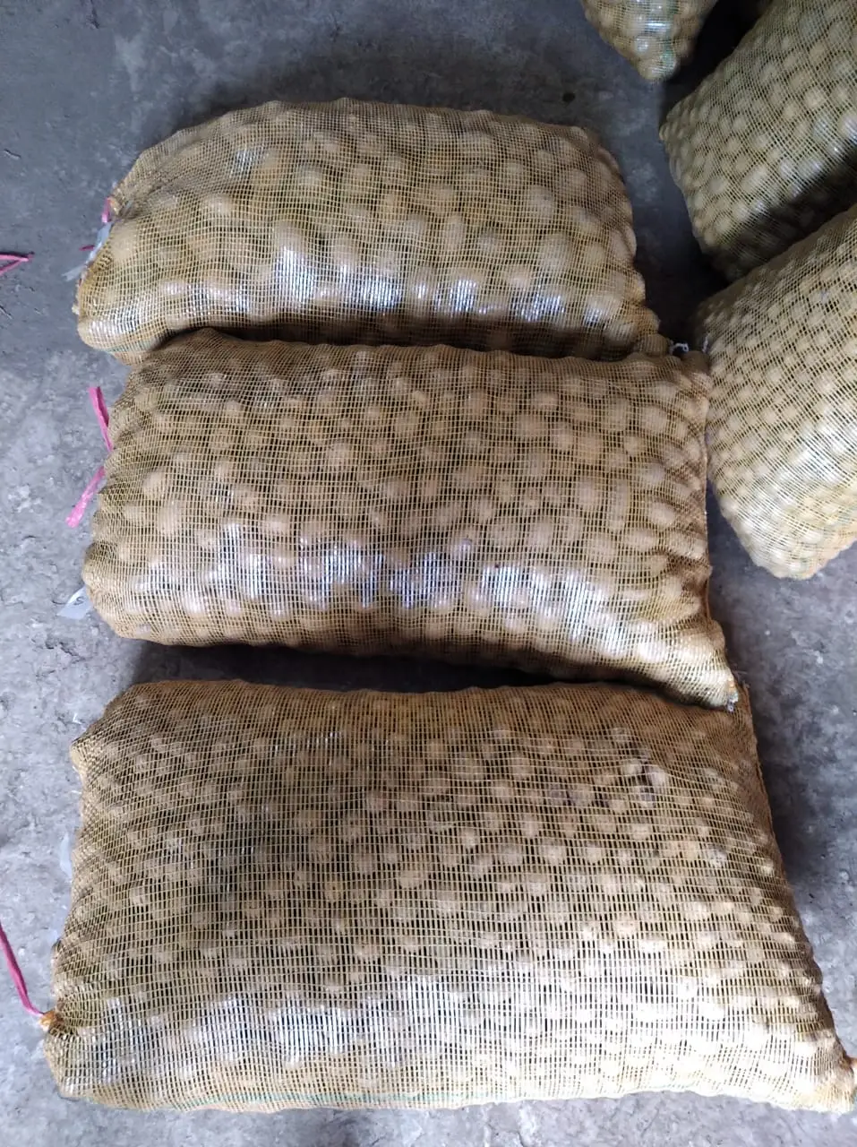 Harga kentang padang terdekat di Sinapa Piliang