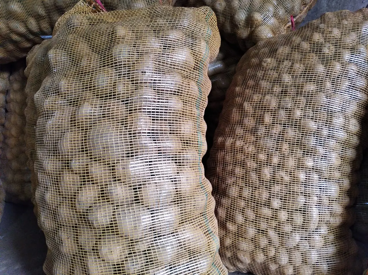 Harga kentang solok terbaik di LaingNan Balimo