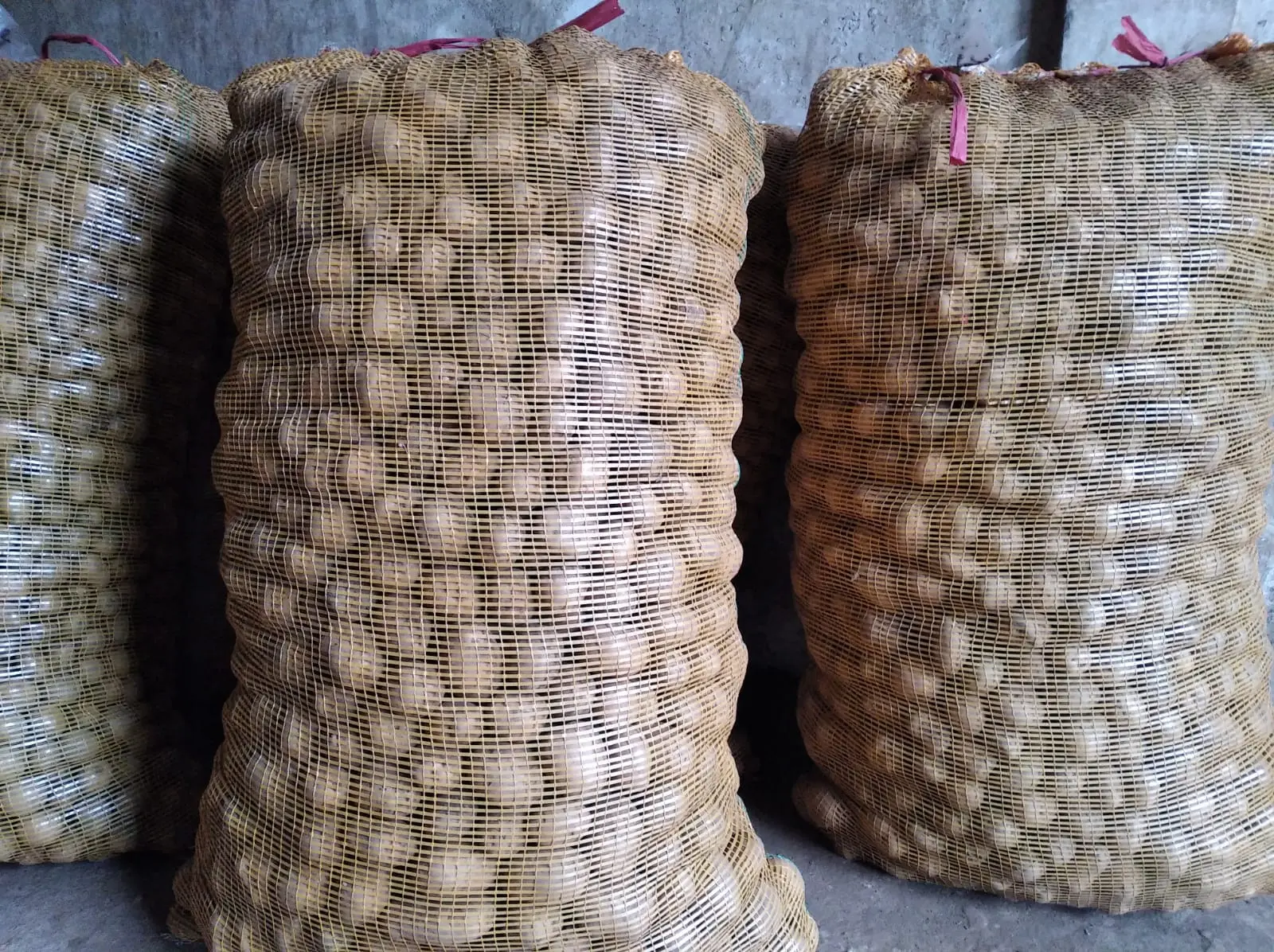 Harga kentang padang terdekat di Kampung Jawa