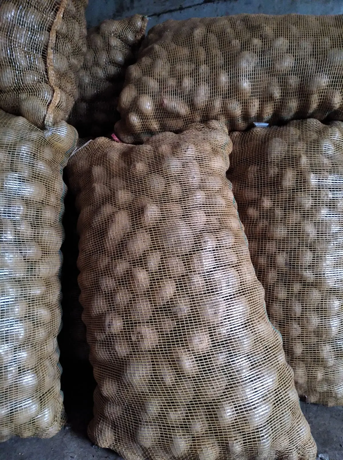 Harga kentang fresh terbaik di Padang