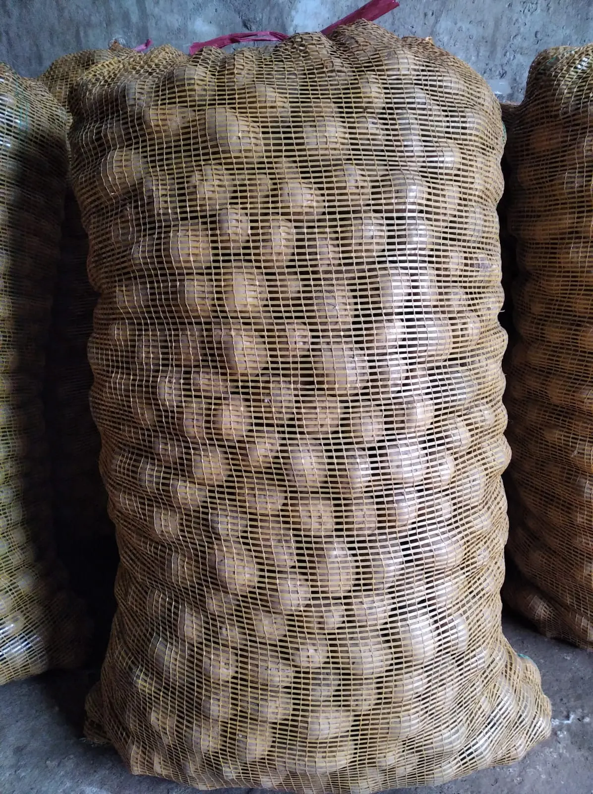 Harga kentang solok terdekat di Tanjung Harapan